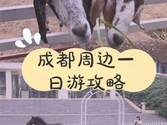 -紫颐香薰山谷景区