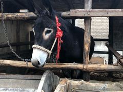 -清风小镇闯关东影视基地