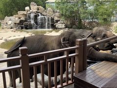 -北京野生动物园