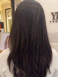 -YESIDO椰岛造型