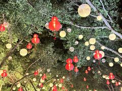 -闽江夜游台江旅游码头