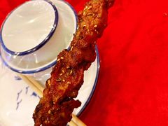 红柳枝烤羊羔肉串-红柳枝滩羊烧烤·非遗