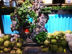 -东椰·海南椰子鸡火锅(朝阳门店)