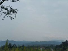 -中国大熊猫保护研究中心雅安碧峰峡基地