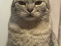 -猫儿山۰猫主题餐厅