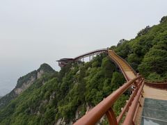 -少华山国家森林公园