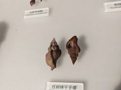 -中国湿地博物馆