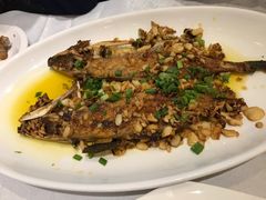 -北李妈妈菜·海肠捞饭(高新万达店)