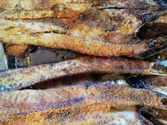 -新疆风味冷水鱼庄(友谊峰路店)