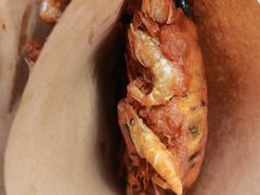 -青果虾饼(杨柳巷店)