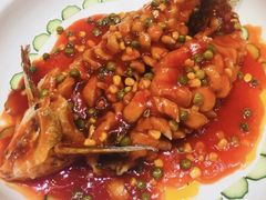-春天烤肉自助餐厅(南内环店)