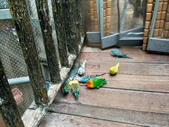 -正佳雨林生态植物园