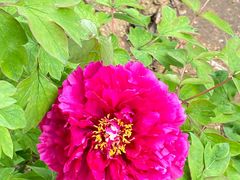 -合肥三国新城遗址公园