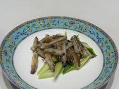 -新光酒家·河豚·海鲜·蟹料理(浦东店)