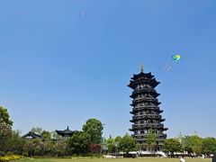 -洋湖国家湿地公园