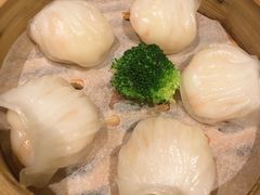 陶陶虾饺皇-陶陶居海鲜酒家(新马路店)