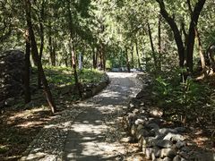 -阳台山自然风景区