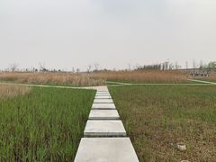 -鹦鹉洲湿地公园