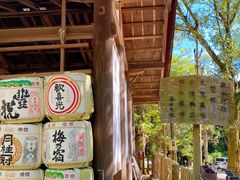 -奈良公园