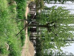 -前小桔亲子创意农场·草莓采摘·露营烧烤