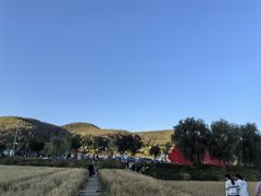 -南泥湾风景区
