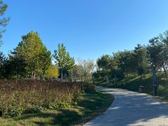 -瀛海足球主题公园