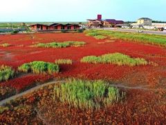 -红海滩国家风景廊道