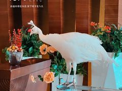 -宁波九龙湖开元度假村
