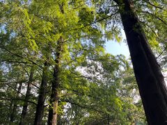 -敬亭山风景名胜区