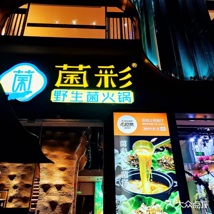 🍄野生菌的味觉奇迹！真的让你不敢相信这味道来自大自然🌲