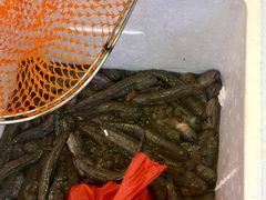 -台州卡金海鲜楼(上南路店)