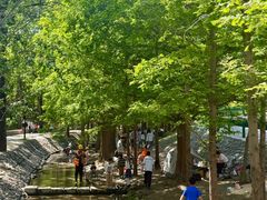 -白水寺森林公园