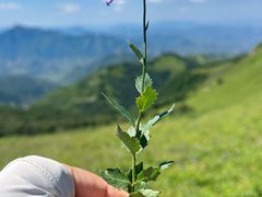 -灵山
