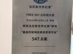 -平安金融中心云际观光层