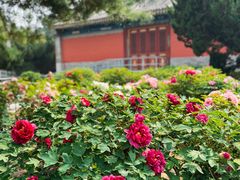 -大钟寺古钟博物馆