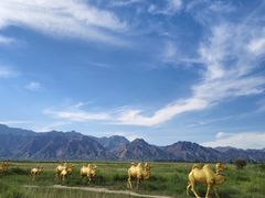 -敕勒川草原文化旅游区