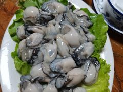 -金砂阿洲鱼册店