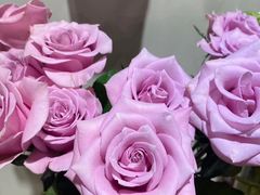 -ChaKo Flora ·茶子花艺 (市北店)