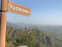 -大岭沟猕猴桃谷风景区