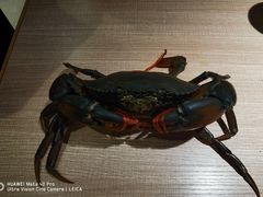 -川味里•商务宴请•团建聚餐(清湖店)