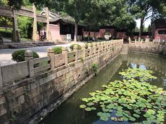-梅村泰伯庙