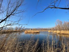 -野鸭湖国家湿地公园