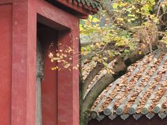 -报恩寺(平武县)