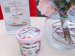 -哈根达斯(扬州瘦西湖店)