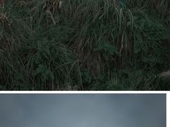 -东极岛景区