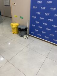 -碧莲盛不剃发植发