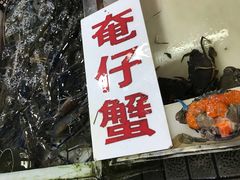 -大湾区中央湿地公园-十九涌