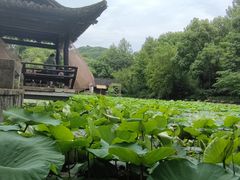 -兰亭风景区