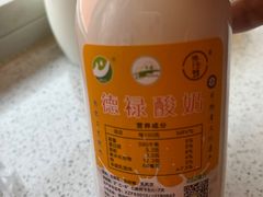 -德禄酸奶(莫家街店)