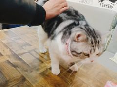 -小时光咖啡馆(开森度假森林店)